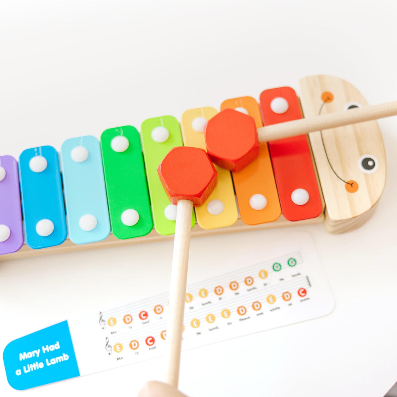 Caterpillar Xylophone - Image 5